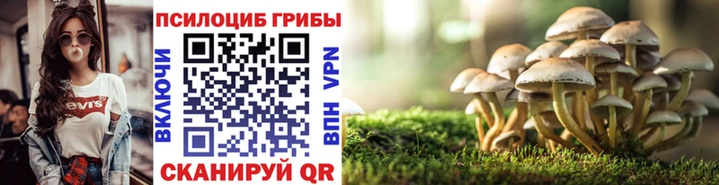 Галлюциногенные грибы ЛСД  Купить где  Собинка 